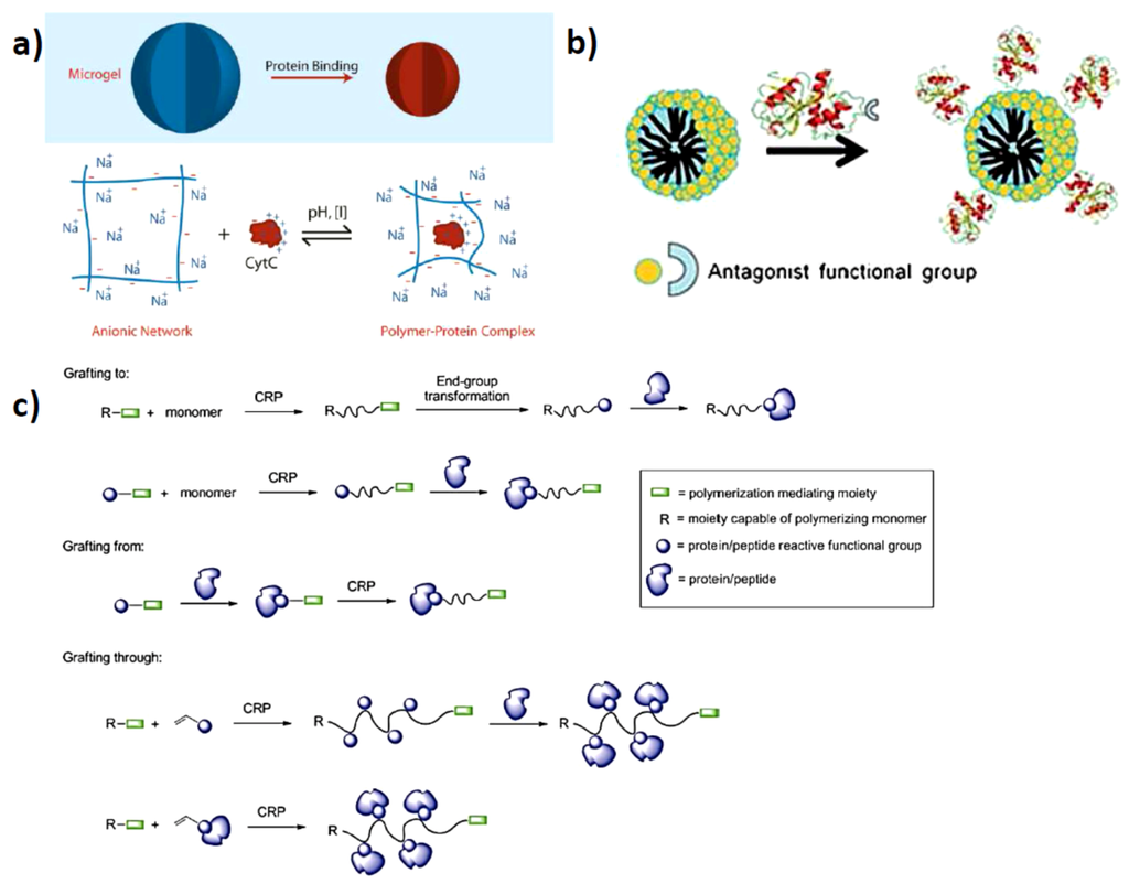 Polymers 05 00576 g001 1024