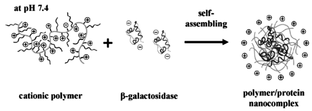 Polymers 05 00576 g002 1024