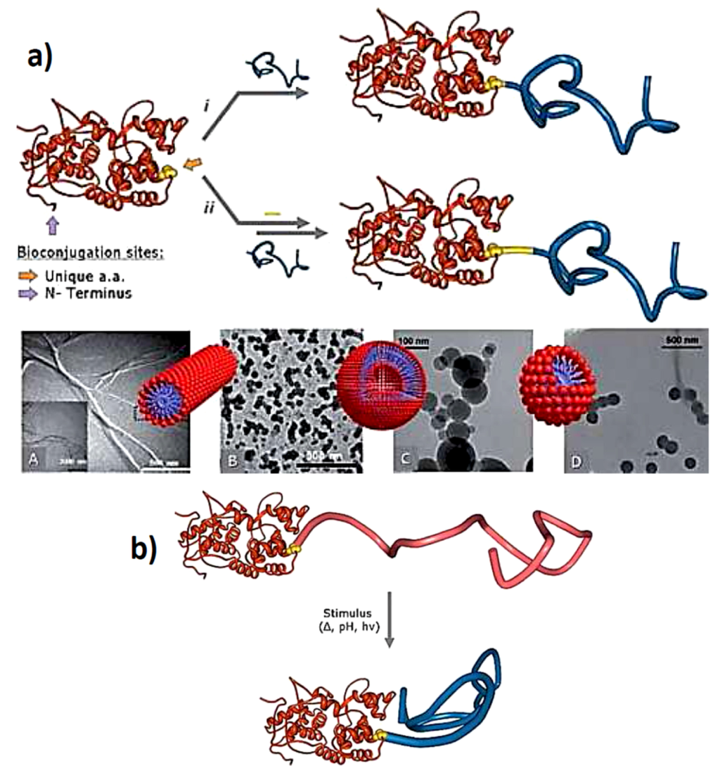 Polymers 05 00576 g005 1024