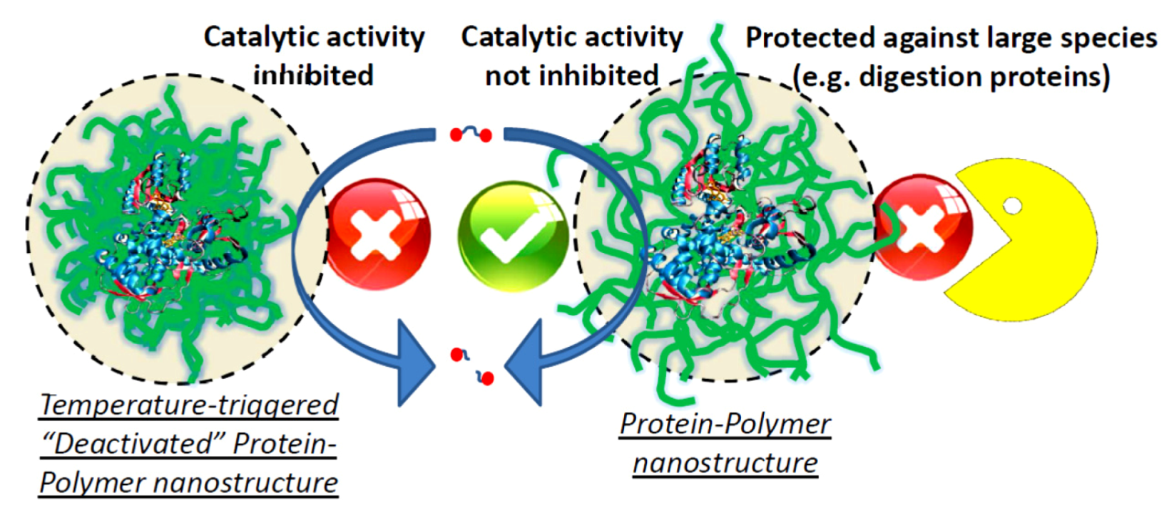Polymers 05 00576 g007
