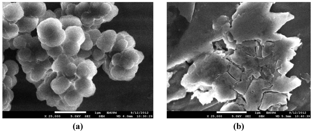 Polymers 05 01215 g004 1024