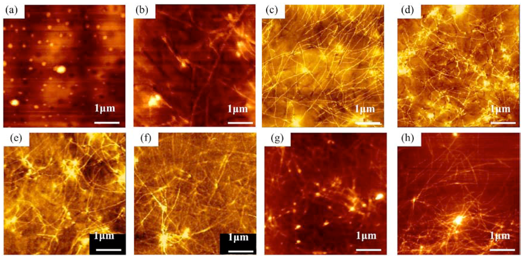 Polymers 05 01325 g004