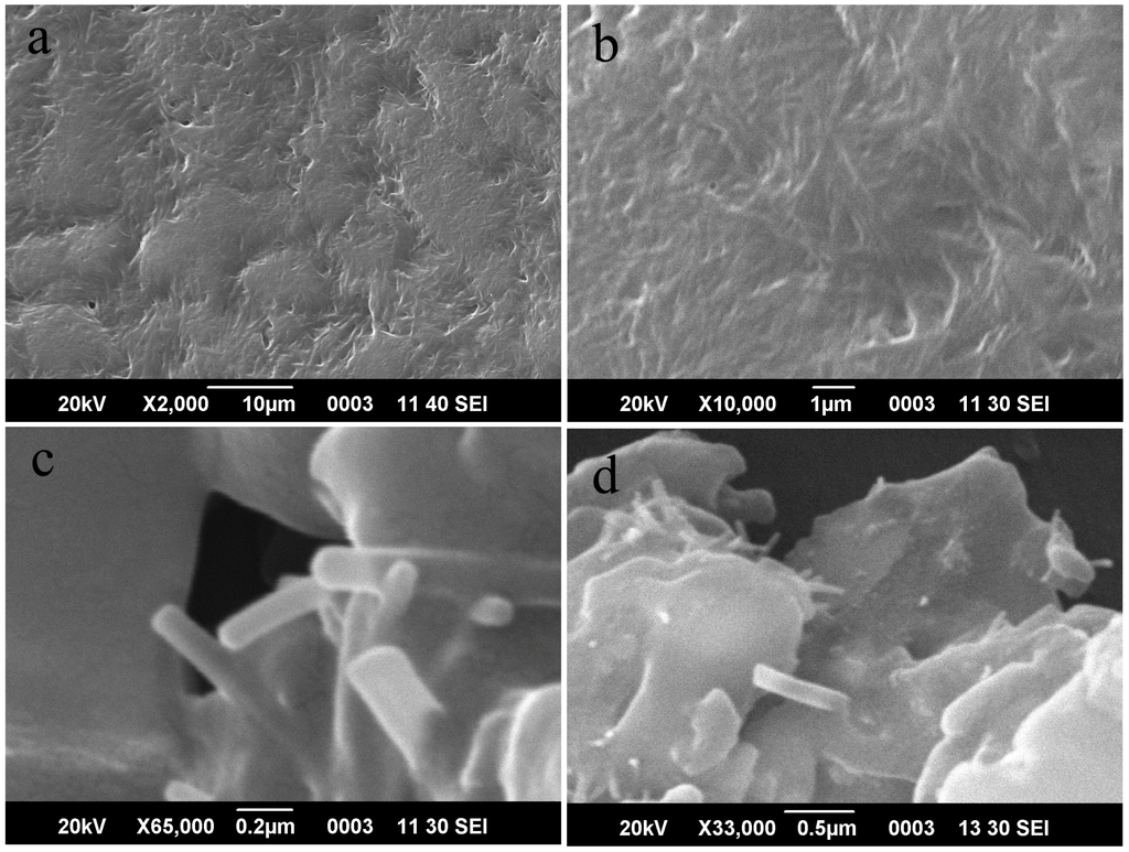 Polymers 05 01380 g002 1024