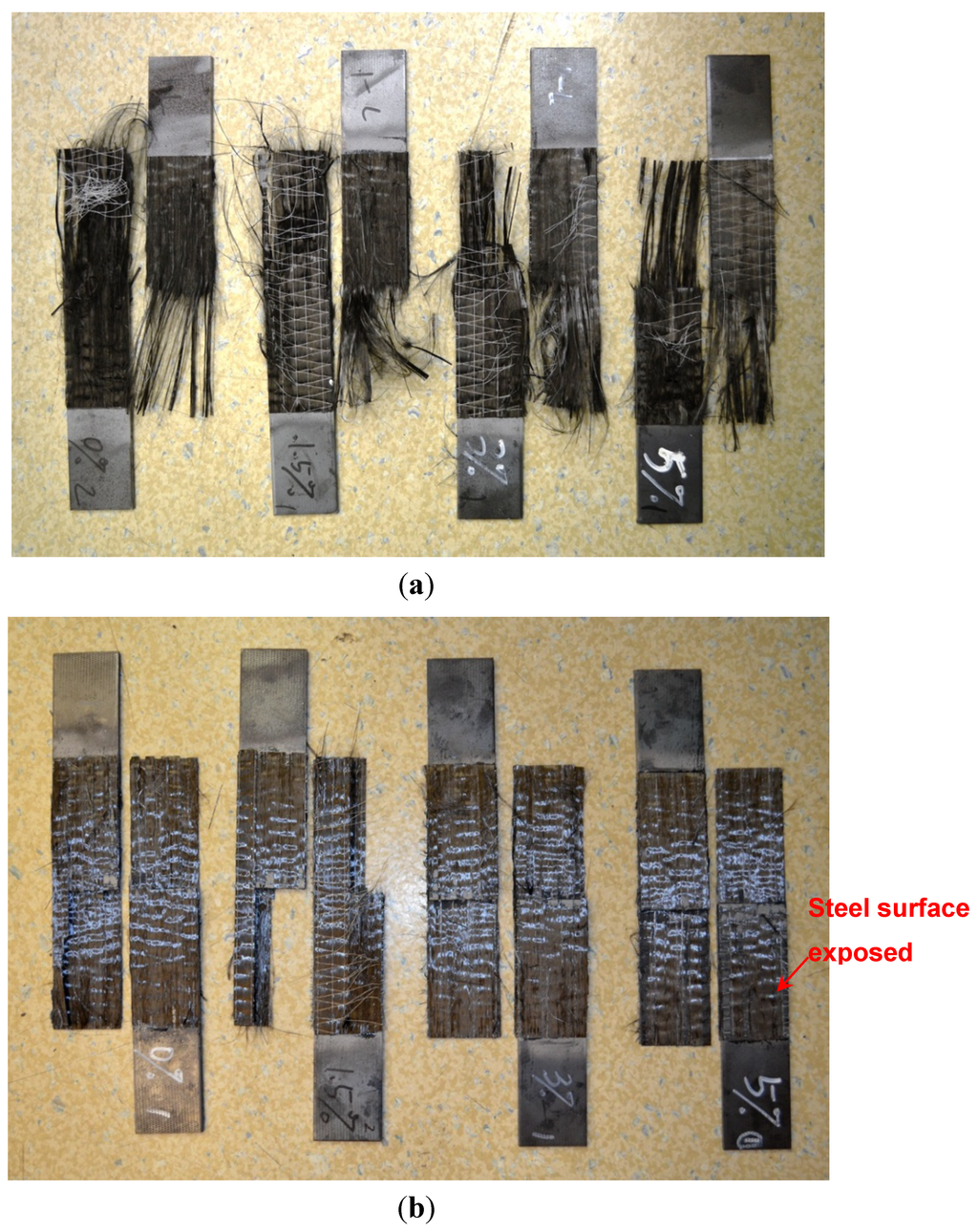 Polymers 06 00076 g004 1024