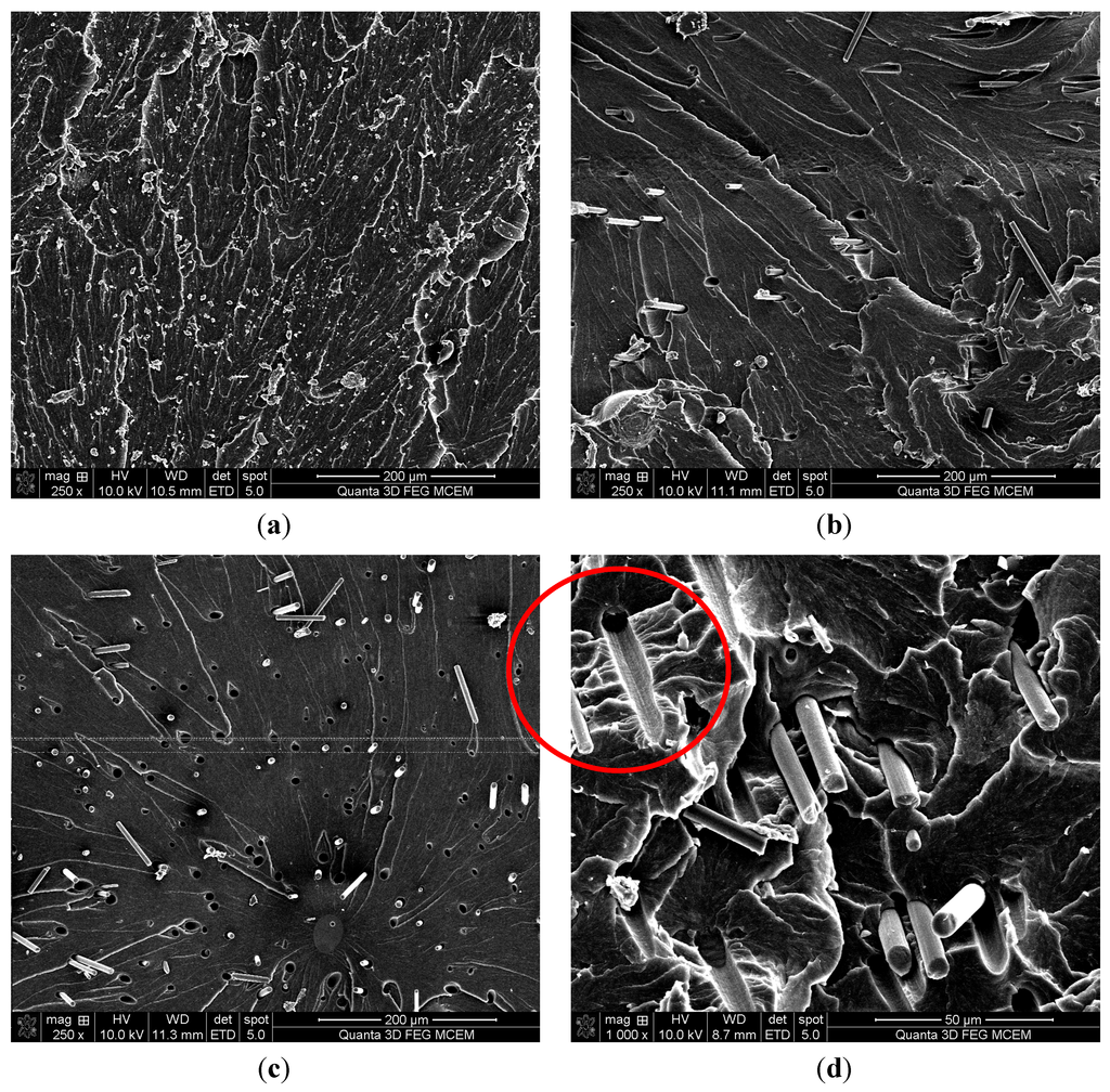 Polymers 06 00076 g008 1024