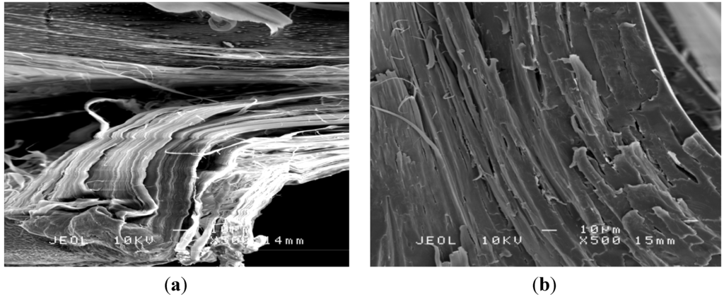 Polymers 06 00093 g008 1024