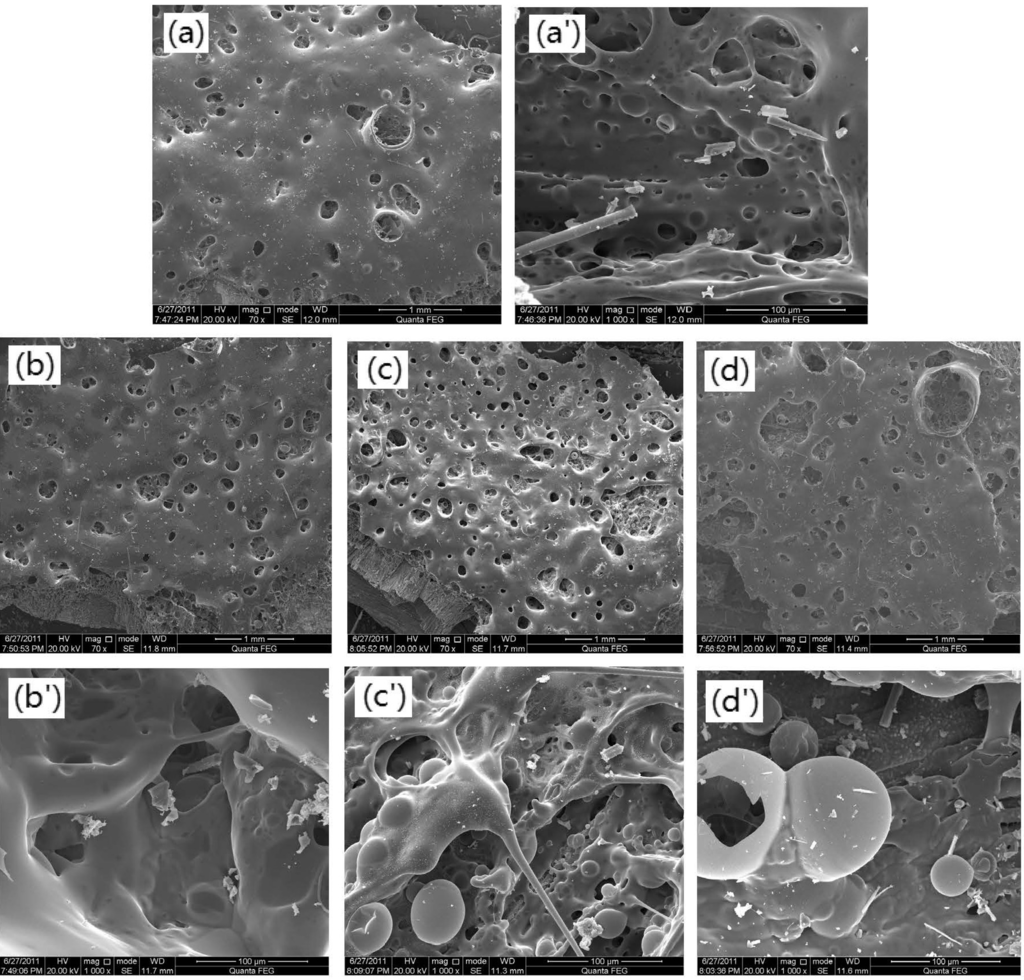 Polymers 06 00105 g002 1024