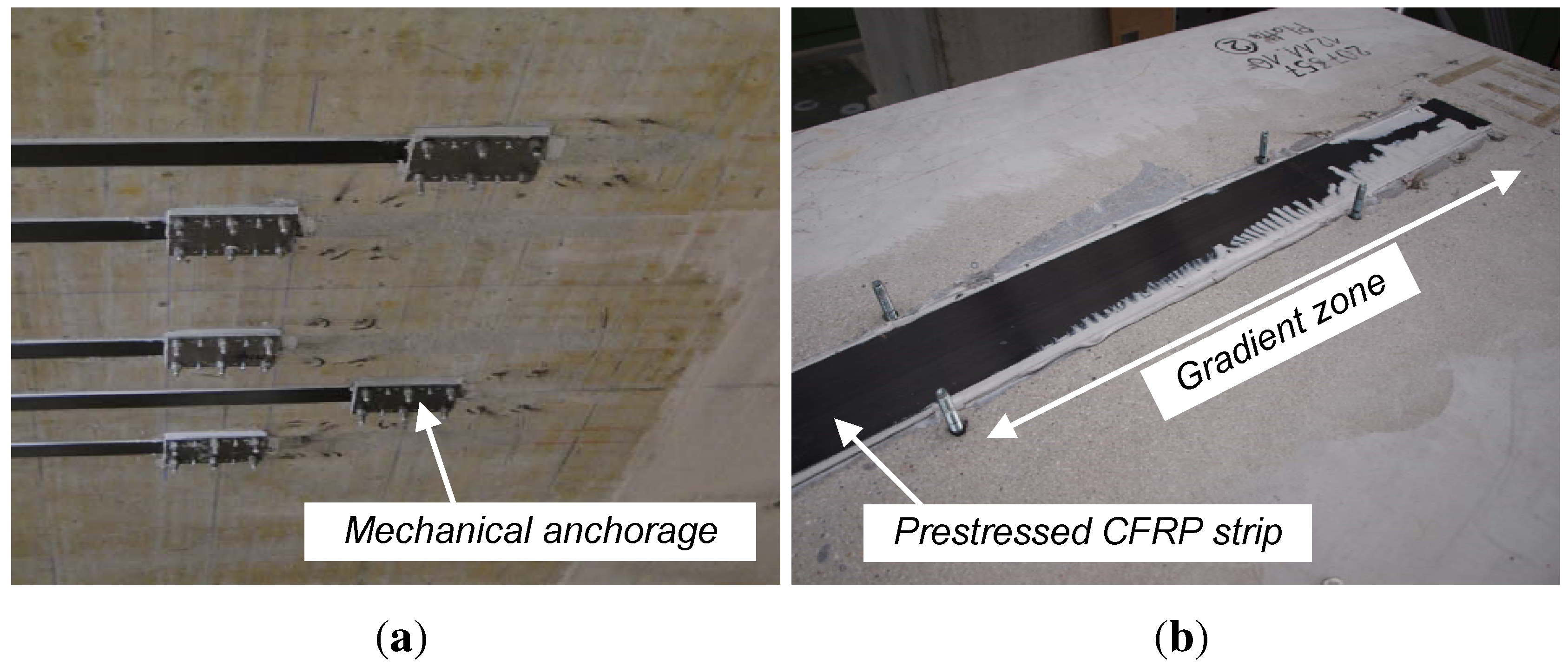 Polymers 06 00114 g001