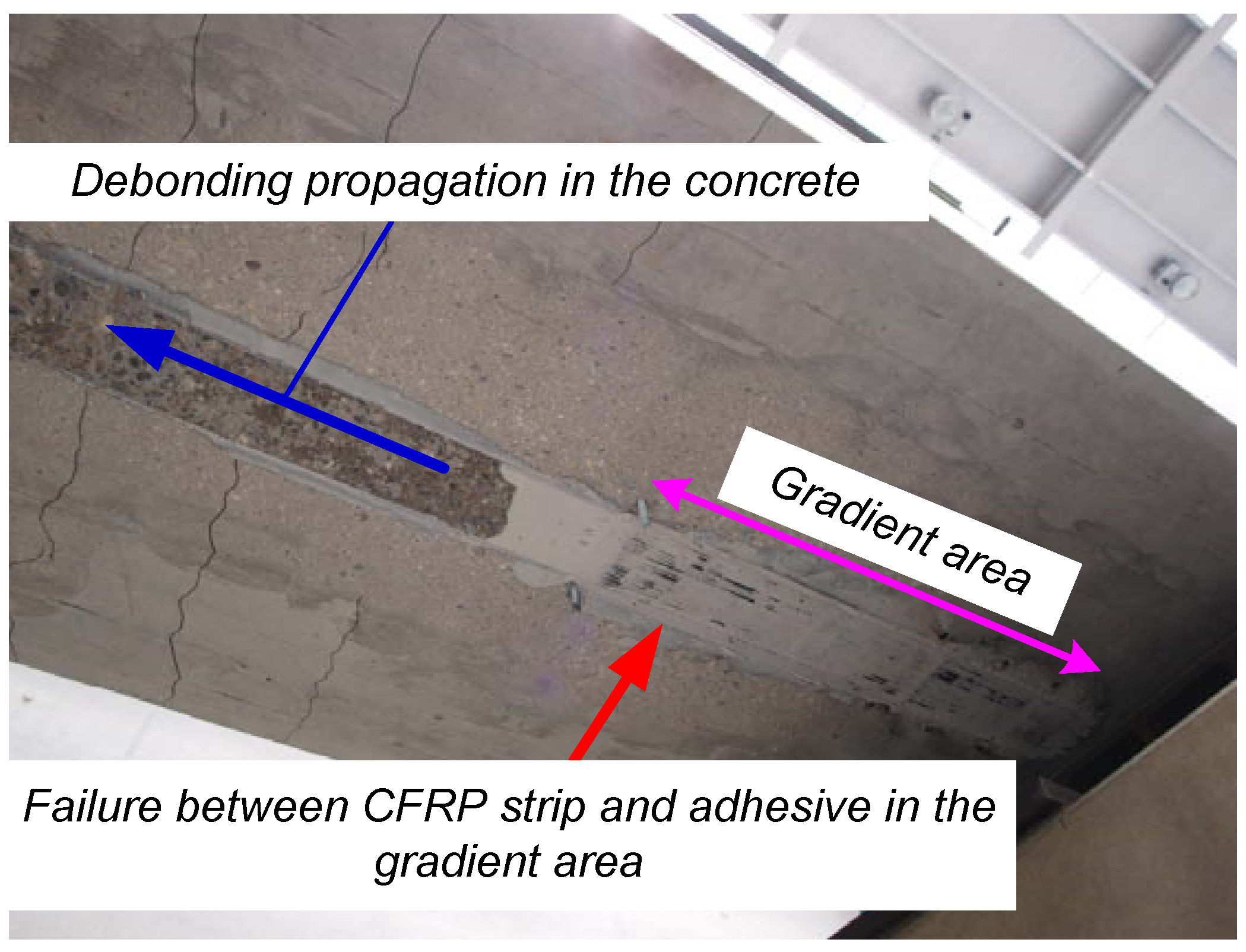 Polymers 06 00114 g008