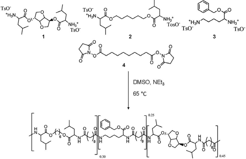 Polymers 06 00243 g001 1024