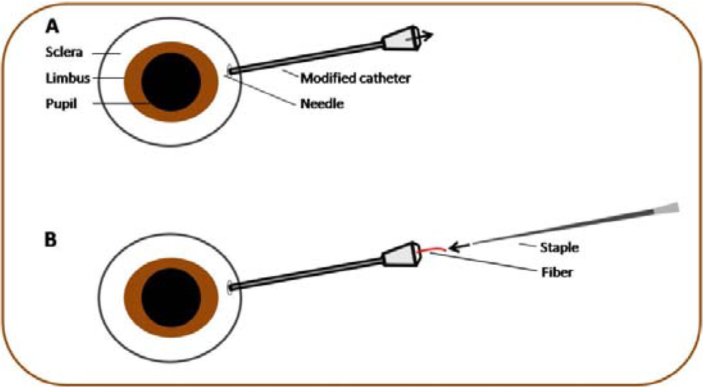 Polymers 06 00243 g003 1024