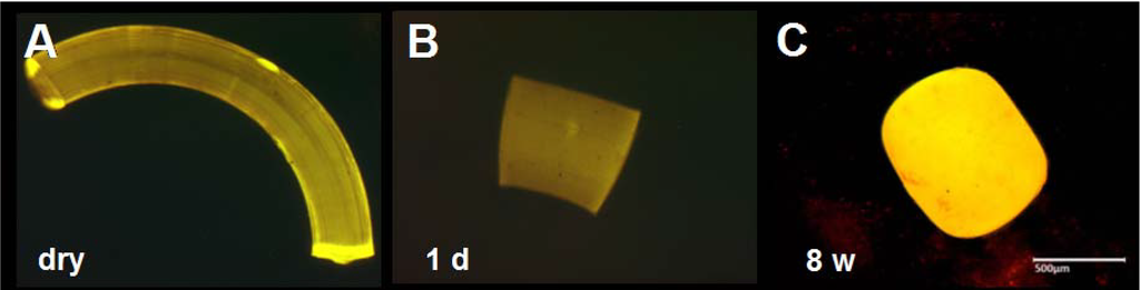 Polymers 06 00243 g007 1024