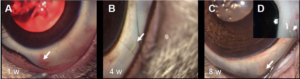 Polymers 06 00243 g009 1024