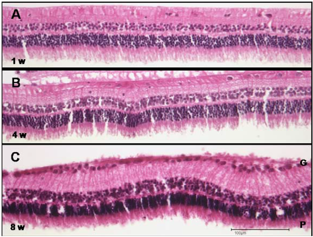Polymers 06 00243 g013 1024