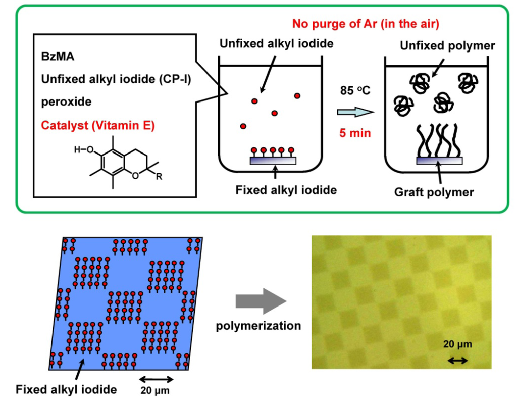 Polymers 06 00311 g008 1024