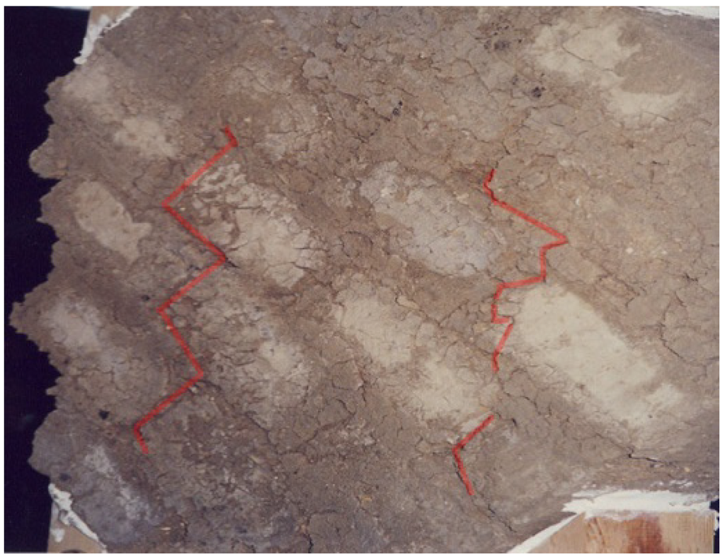 Polymers 06 00464 g005 1024