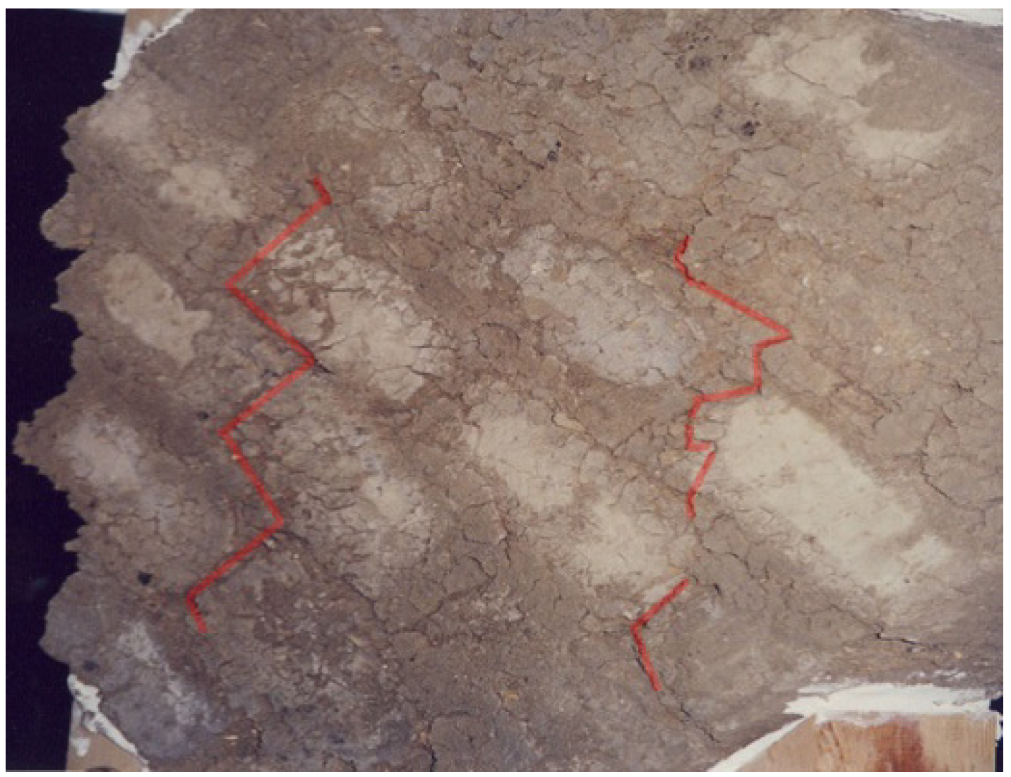 Polymers 06 00464 g005