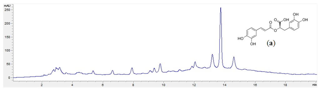 Polymers 06 00479 g001 1024