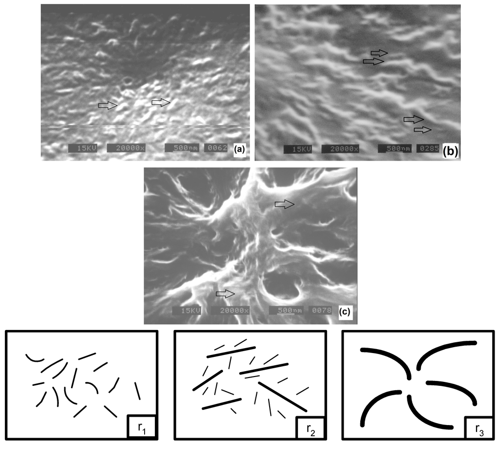 Polymers 06 00583 g006 1024