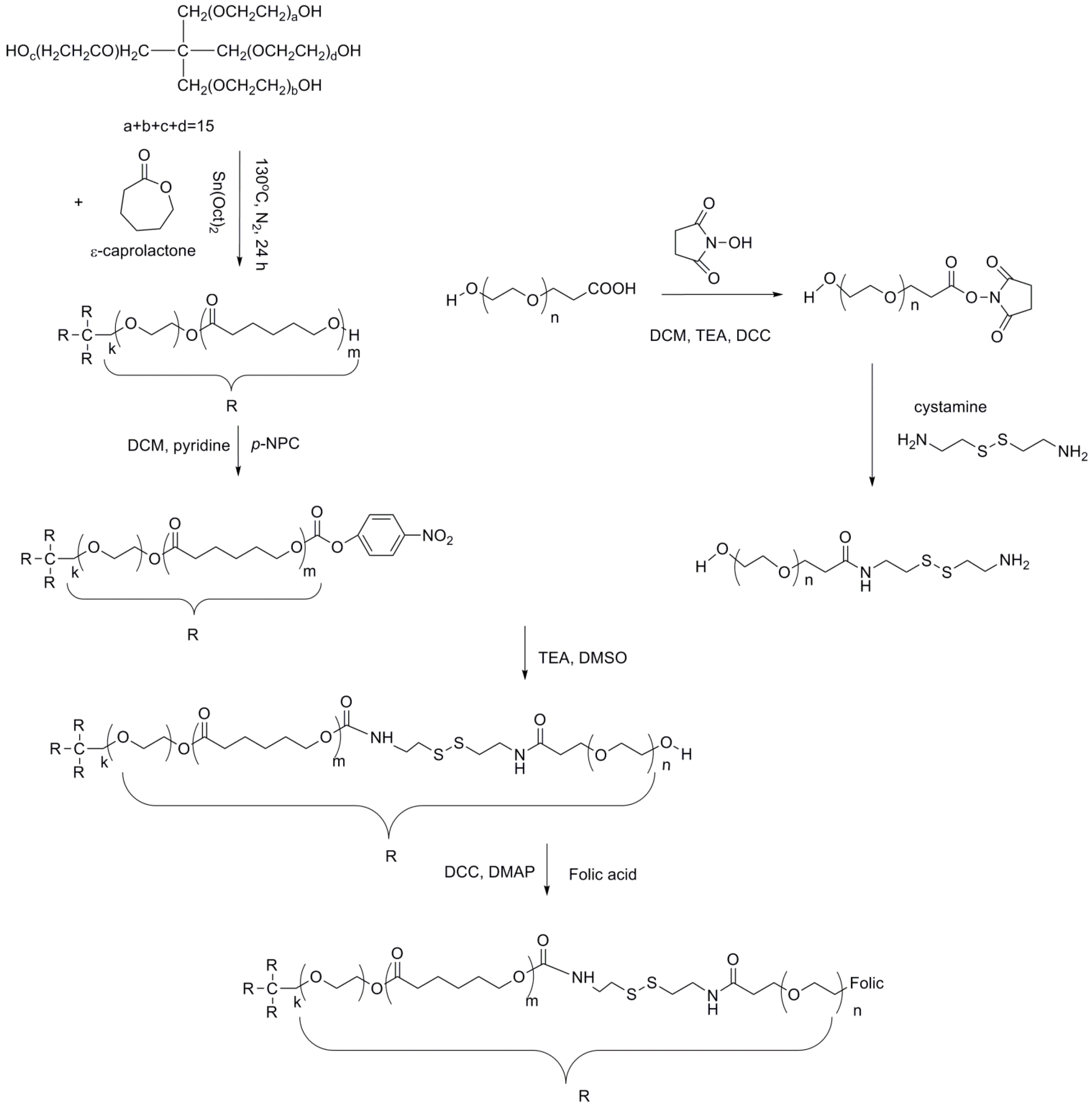 Polymers 06 00634 g001