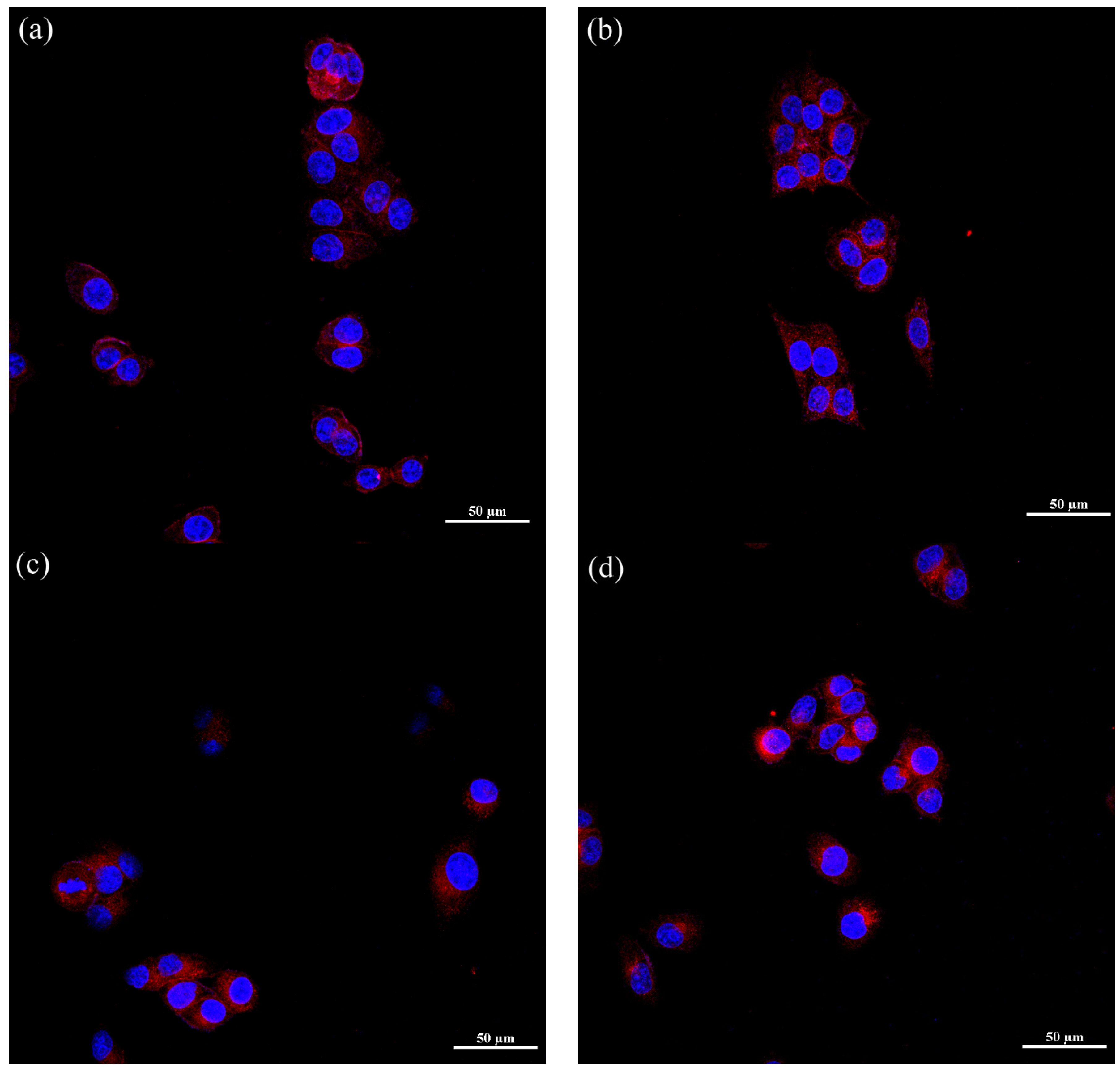 Polymers 06 00634 g006