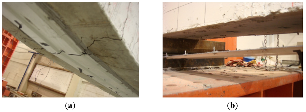 Polymers 06 00667 g006 1024