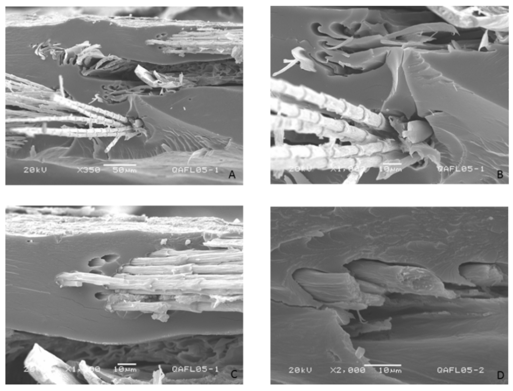 Polymers 06 00686 g005 1024