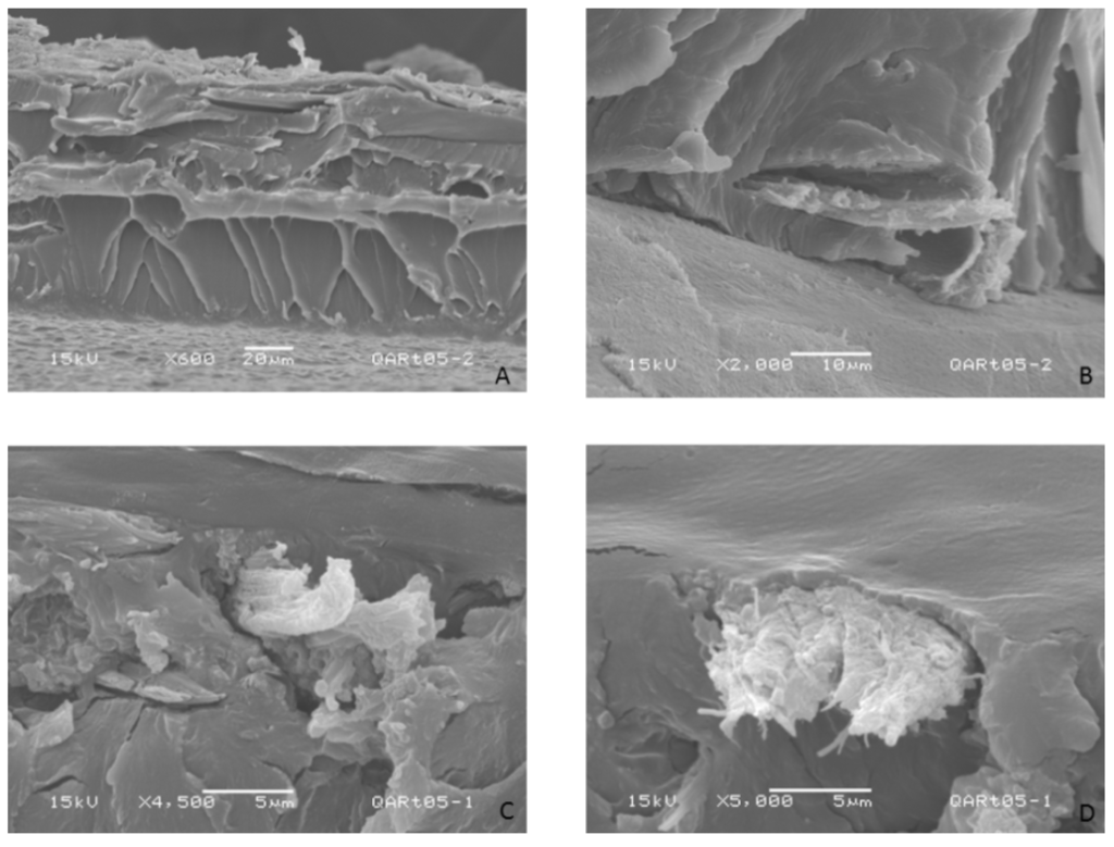 Polymers 06 00686 g006 1024