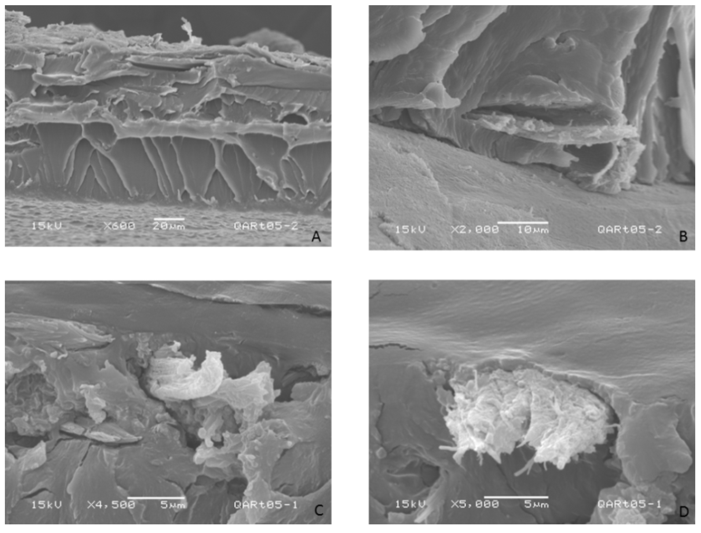 Polymers 06 00686 g006
