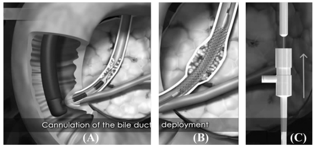 Polymers 06 00755 g003 1024