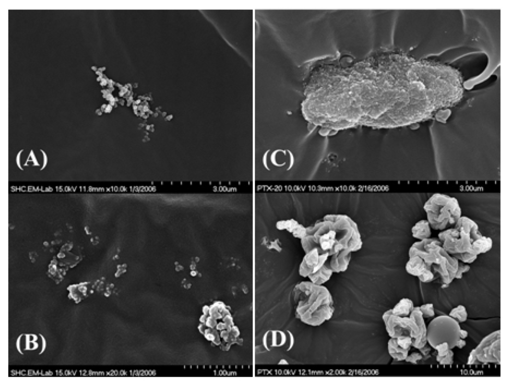 Polymers 06 00755 g004 1024