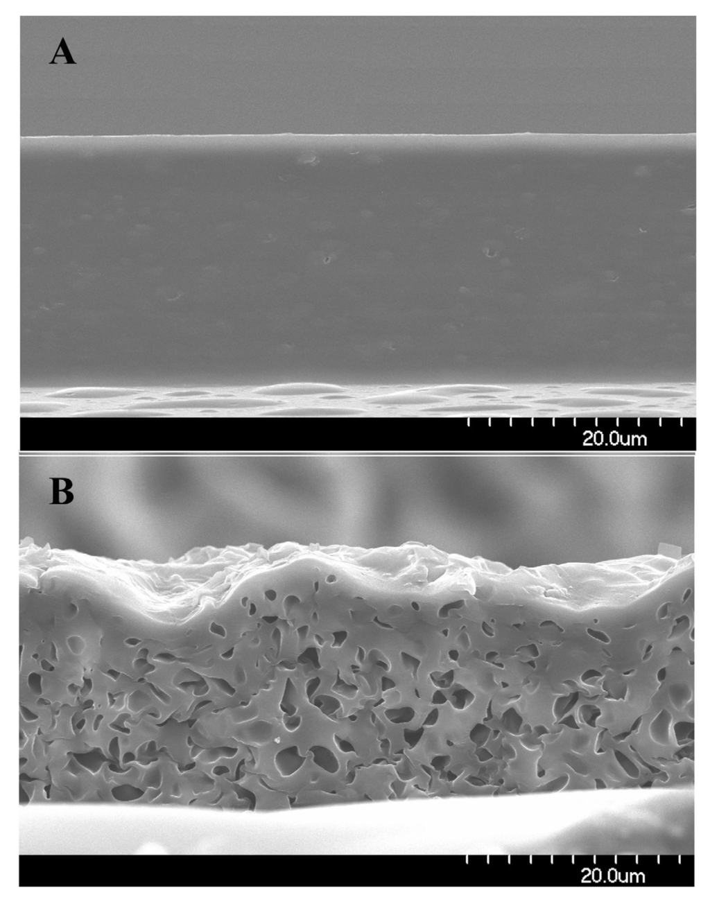 Polymers 06 00755 g009 1024