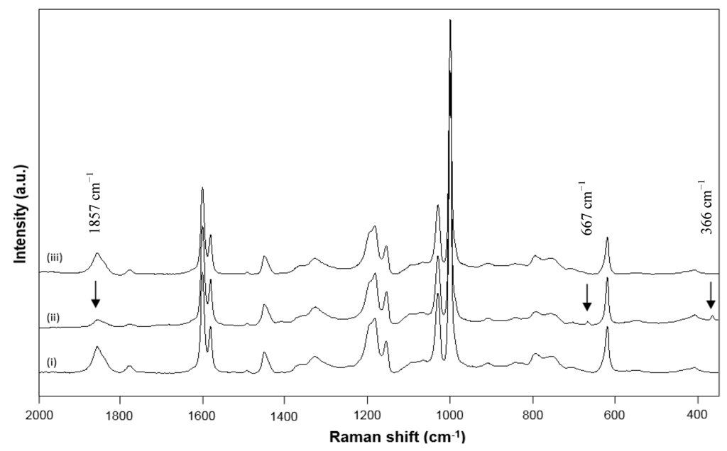 Polymers 06 00820 g003 1024