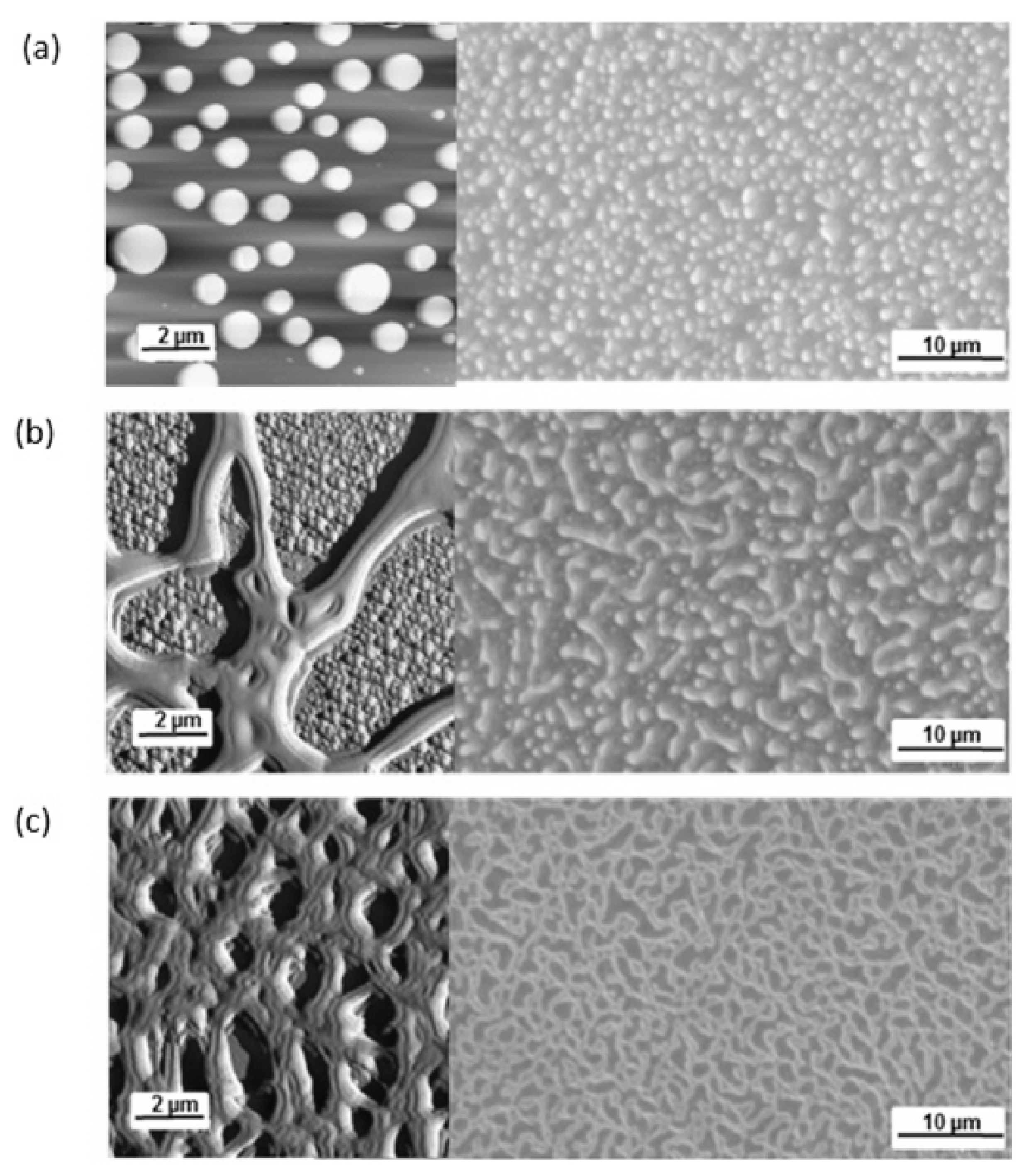Polymers 06 00820 g006