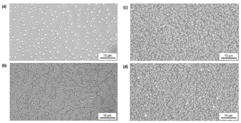 Polymers 06 00820 g010 1024