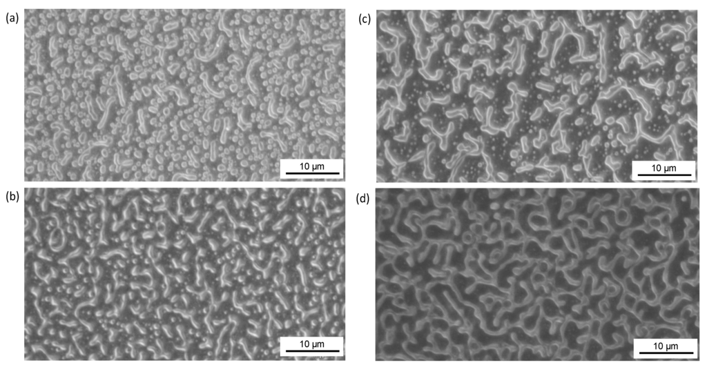 Polymers 06 00820 g013 1024