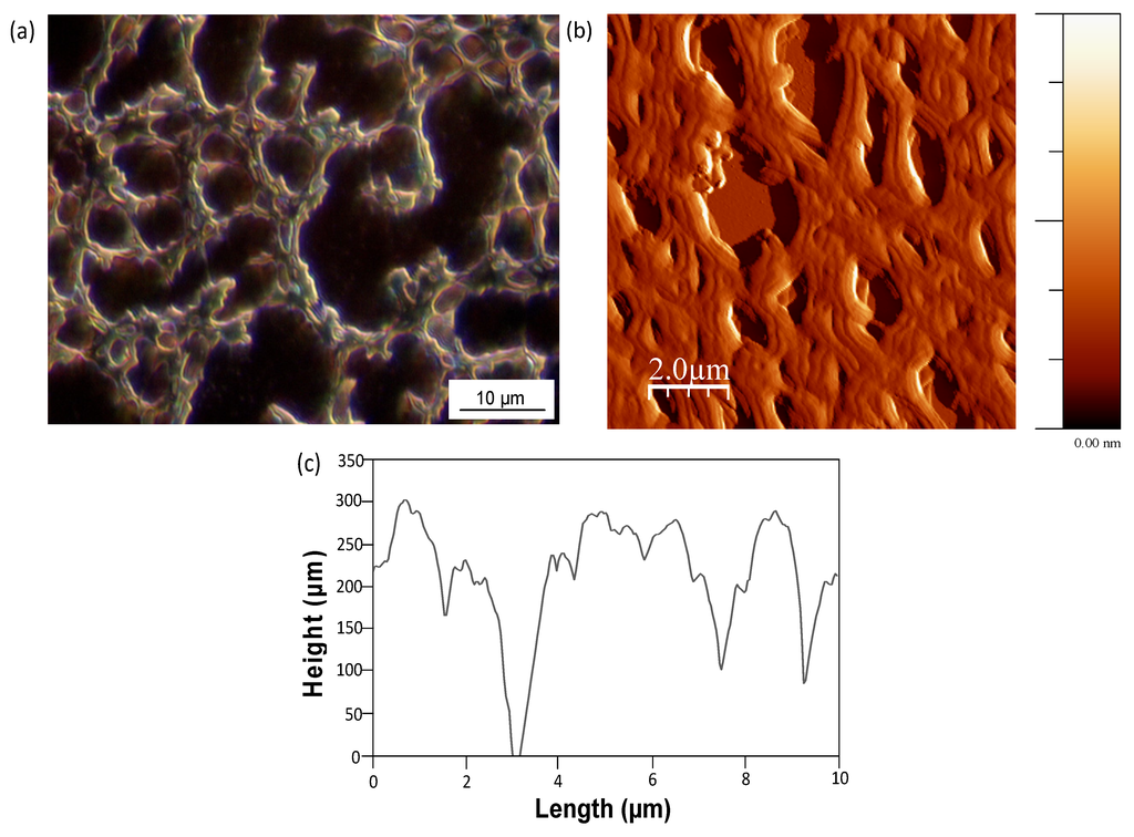 Polymers 06 00820 g015 1024