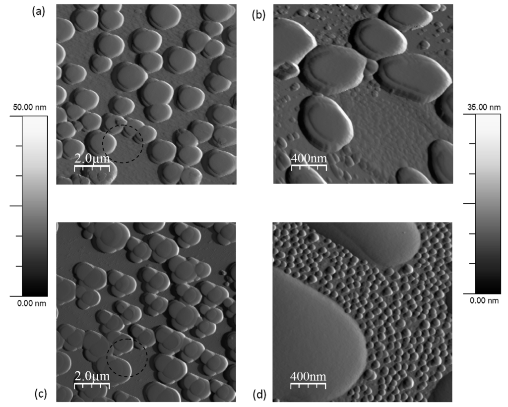Polymers 06 00820 g016 1024