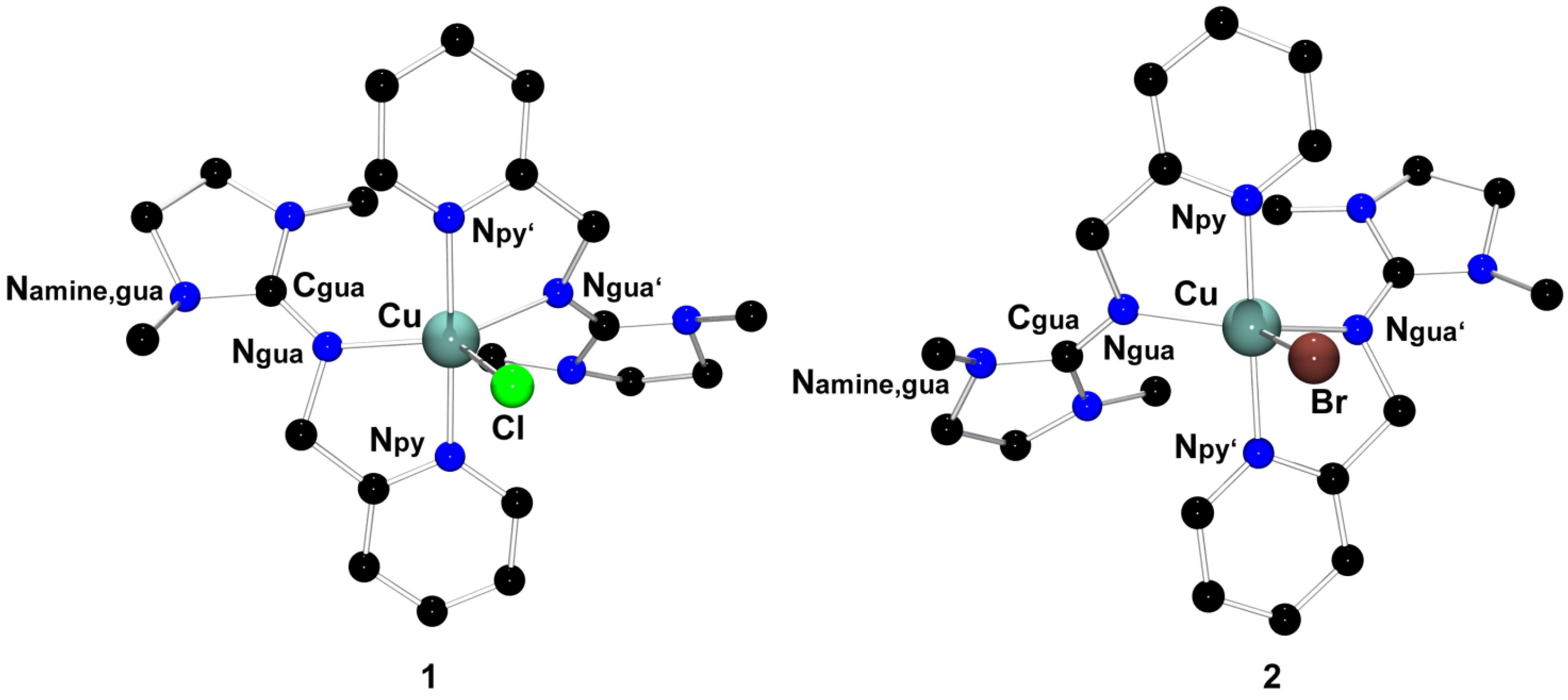 Polymers 06 00995 g002