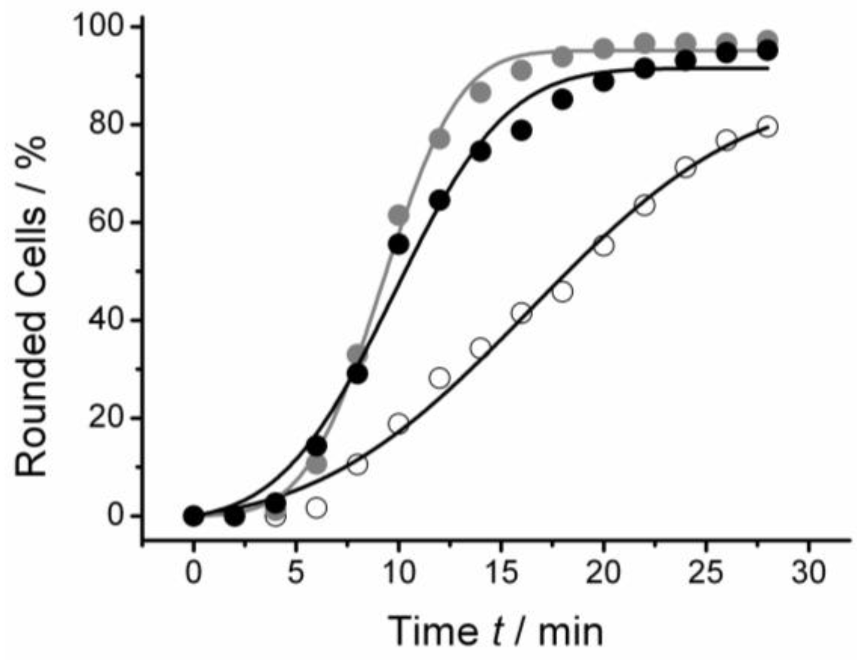 Polymers 06 01164 g001