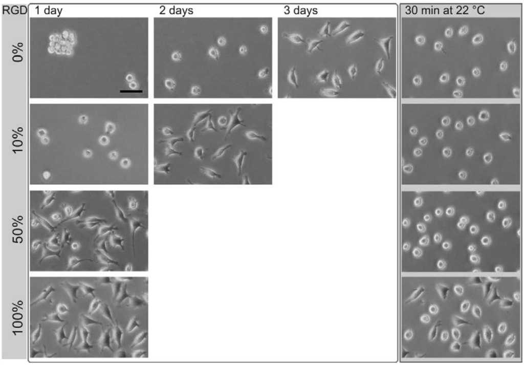 Polymers 06 01164 g003 1024