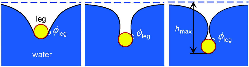 Polymers 06 01266 g004 1024