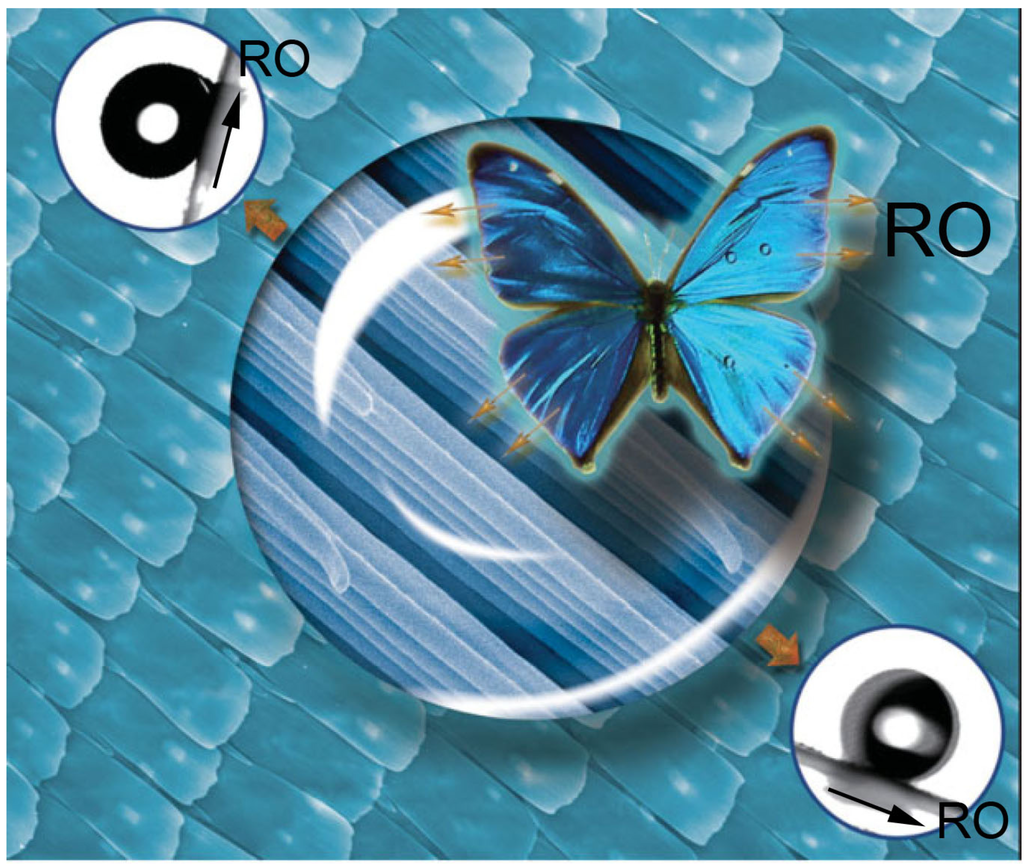 Polymers 06 01266 g006 1024