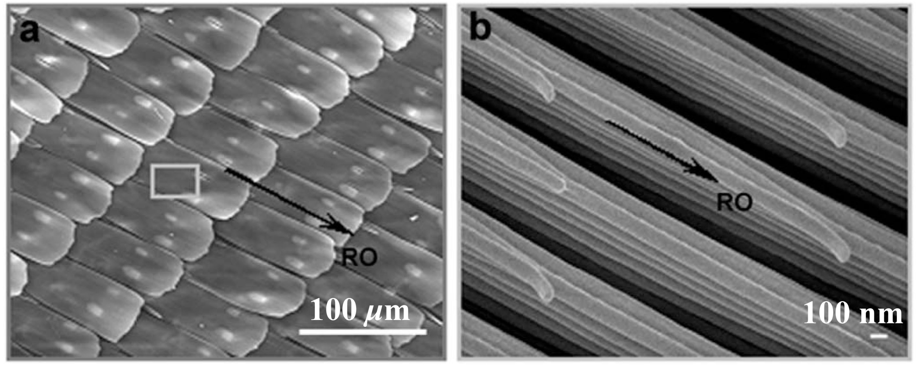Polymers 06 01266 g007
