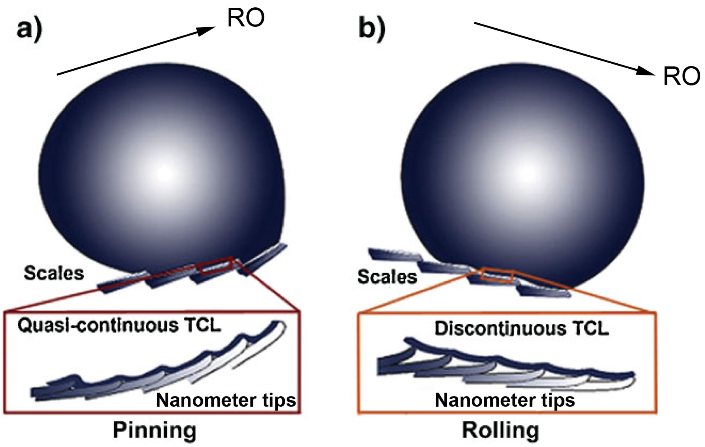 Polymers 06 01266 g008