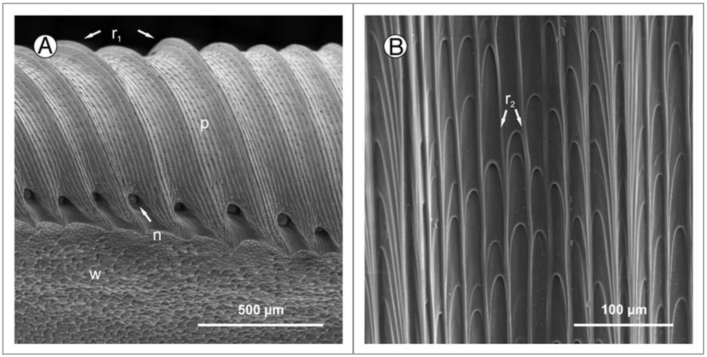 Polymers 06 01266 g010 1024