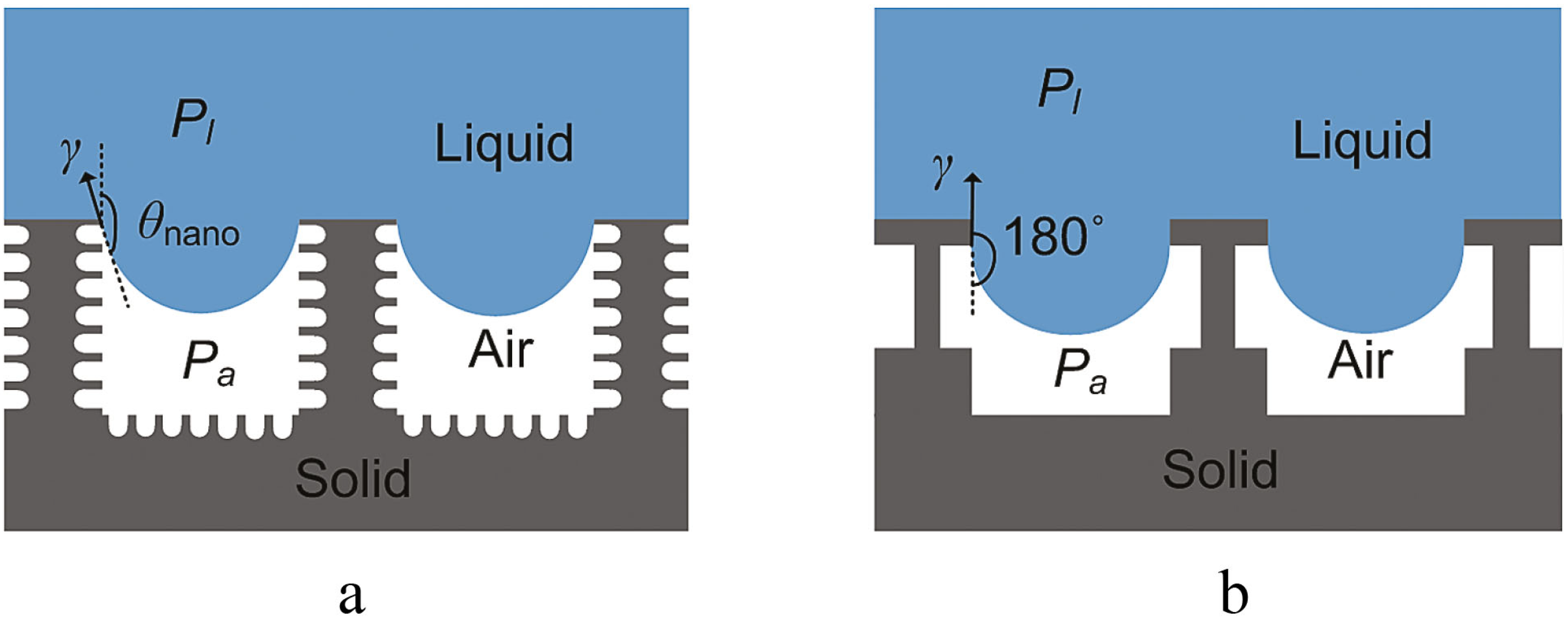 Polymers 06 01266 g013