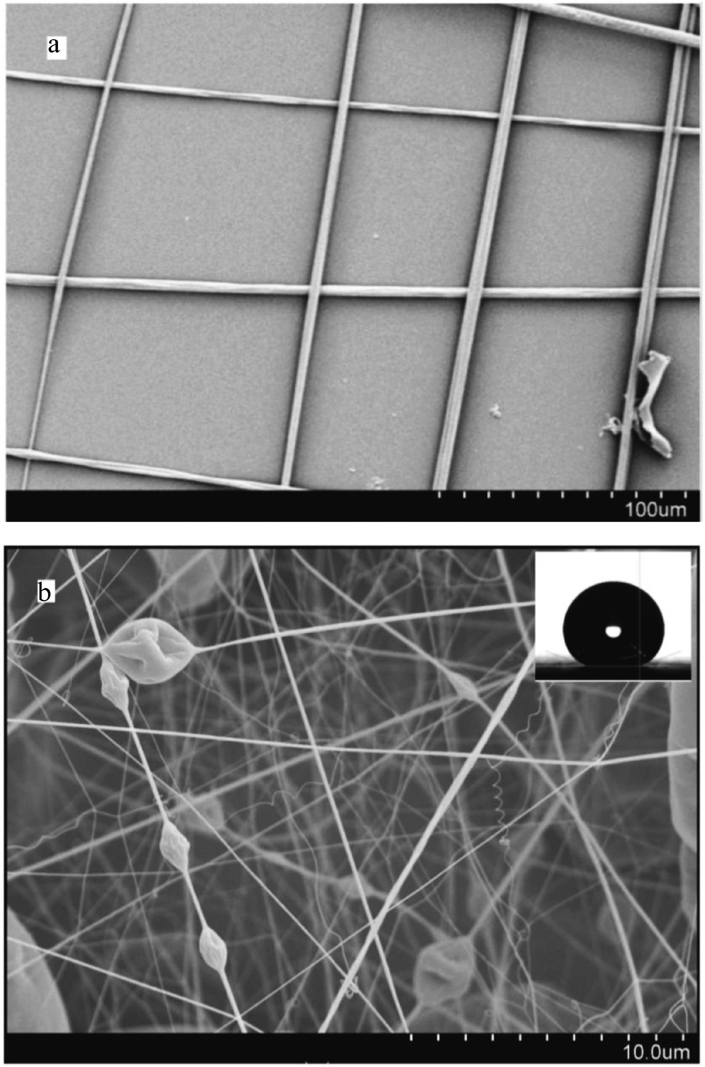 Polymers 06 01266 g016