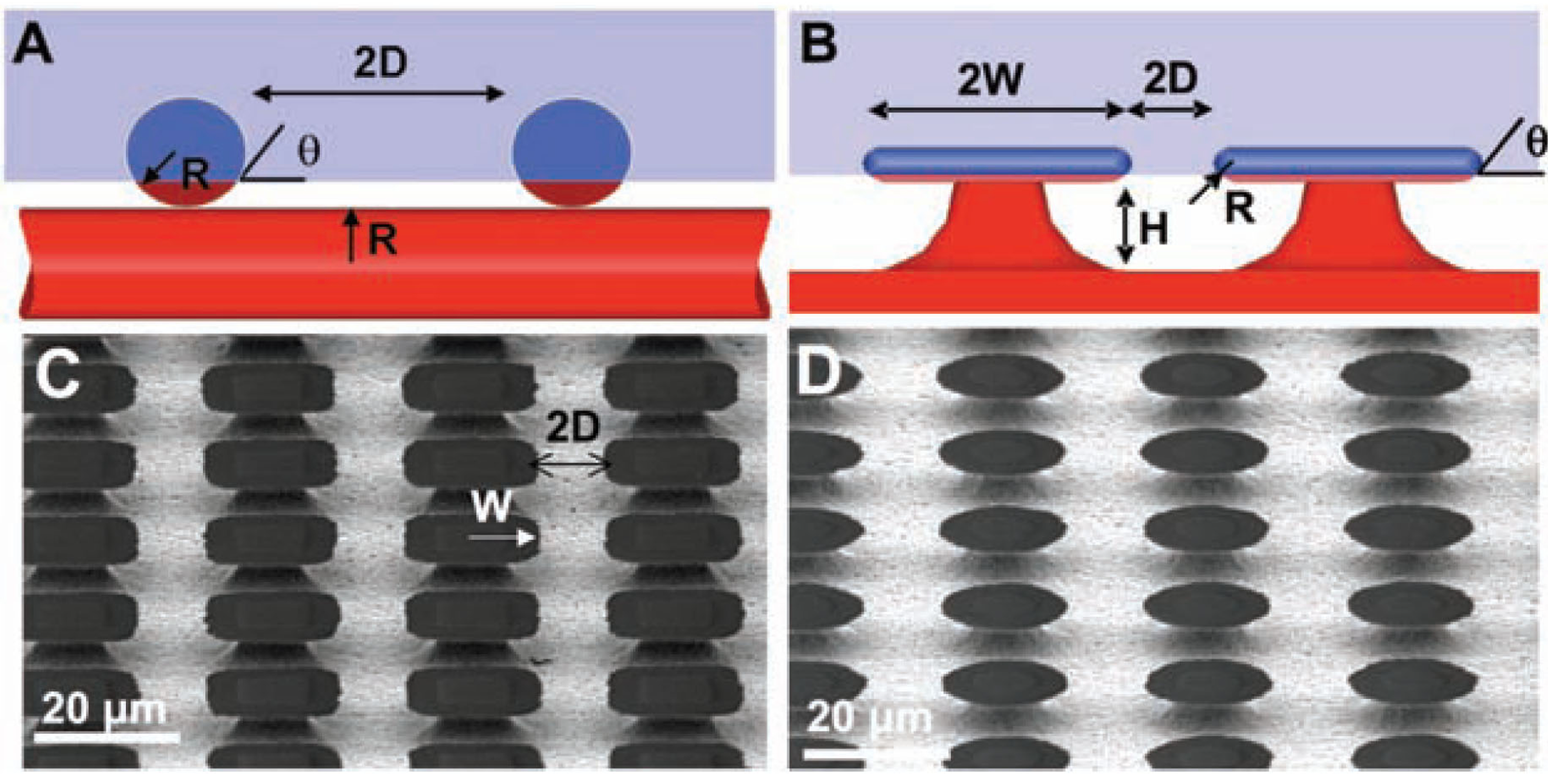 Polymers 06 01266 g018