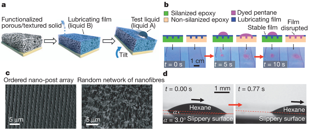 Polymers 06 01266 g020 1024